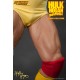 WWE Wrestling Statue 1/4 Hulk Hogan Hulkamania 49 cm